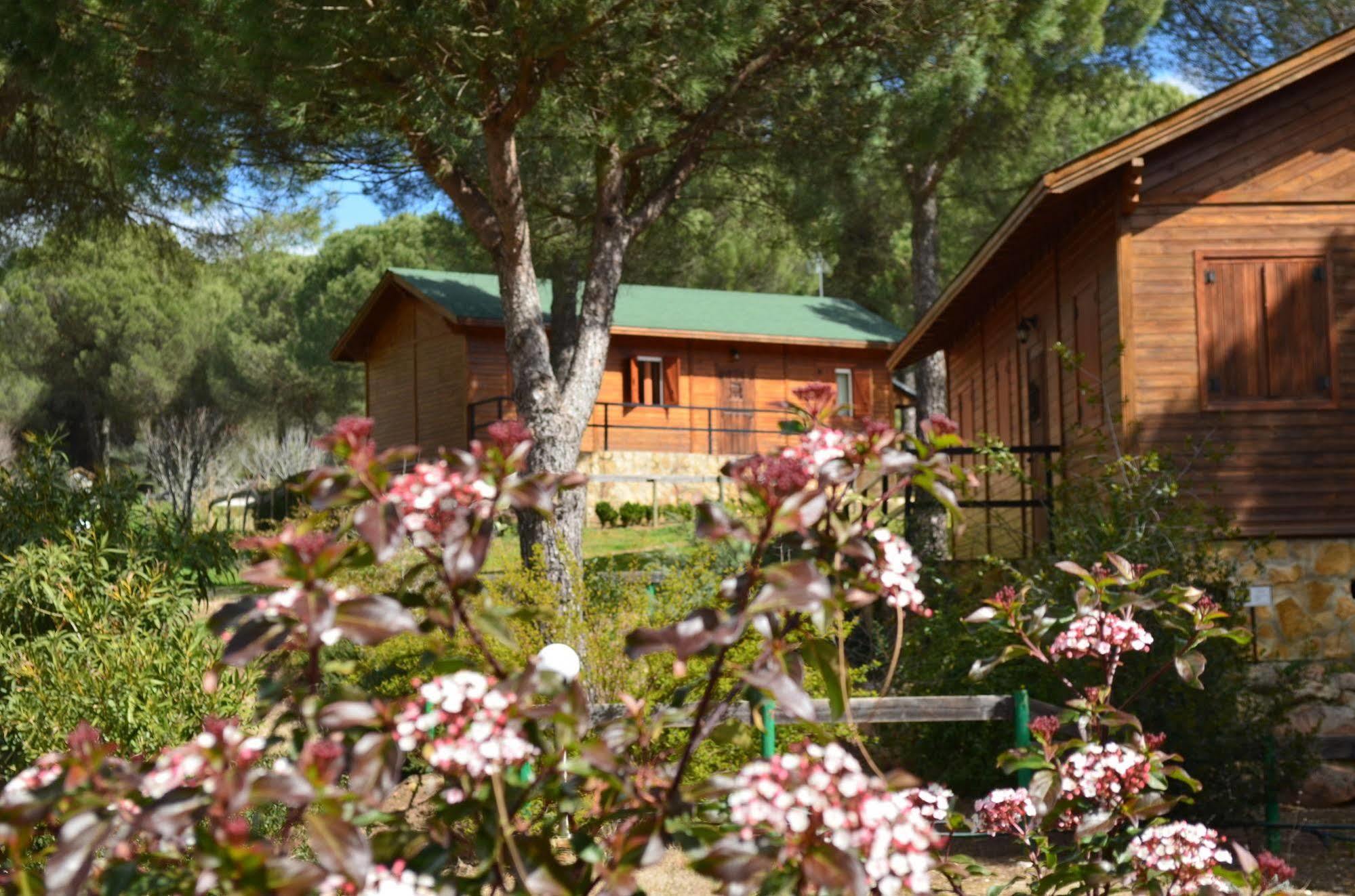 Apartamentos Paraje San Gines Andújar Extérieur photo